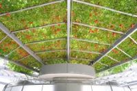 ��XXX�������